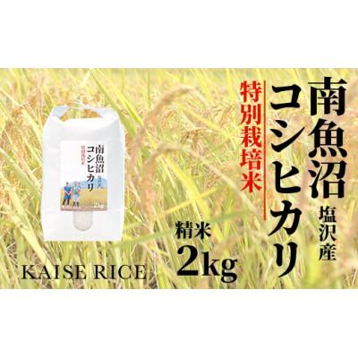 ふるさと納税 南魚沼市 [毎月定期便]南魚沼しおざわコシヒカリ[特別栽培米]精米2kg従来品種 全3回