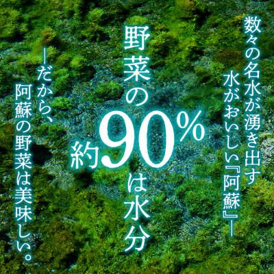 ふるさと納税 阿蘇市 【毎月定期便】季節のお野菜セットMサイズ 旬のお野菜を厳選してお届け全6回 |  | 01