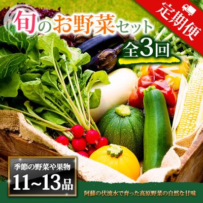 ふるさと納税 阿蘇市 [毎月定期便]季節のお野菜セットXLサイズ 旬のお野菜を厳選してお届け全3回
