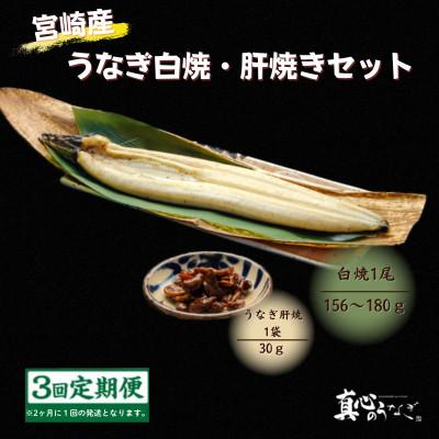 ふるさと納税 宮崎市 [2ヵ月毎定期便]うなぎ白焼・肝焼きセット全3回