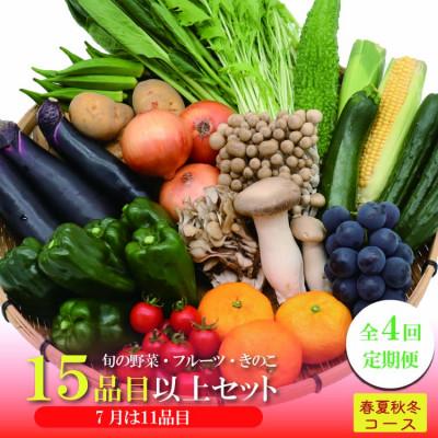 ふるさと納税 南島原市 [発送月固定定期便]15品目以上(夏季は11品目以上) 豪華!野菜セット フルーツ・キノコ付き全4回