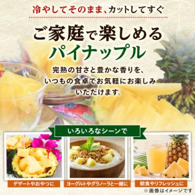 ふるさと納税 今帰仁村 【発送月固定定期便】2027年発送 今帰仁村パイン産地協議会 3種のパイナップルの食べ比べ全3回 |  | 01