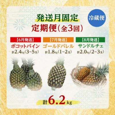 ふるさと納税 今帰仁村 【発送月固定定期便】2027年発送 今帰仁村パイン産地協議会 3種のパイナップルの食べ比べ全3回 |  | 02