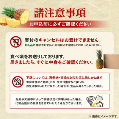 ふるさと納税 今帰仁村 【発送月固定定期便】2027年発送 今帰仁村パイン産地協議会 3種のパイナップルの食べ比べ全3回 |  | 03