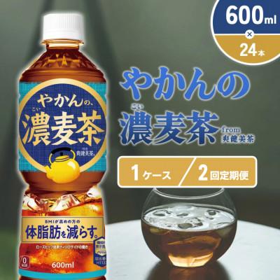ふるさと納税 えびの市 [毎月定期便]やかんの濃麦茶 from 爽健美茶PET 600ml×24本1ケース(えびの市)全2回