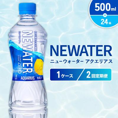 ふるさと納税 えびの市 [毎月定期便]アクエリアス ニューウォーター 500ml×24本(1ケース)(えびの市)全2回