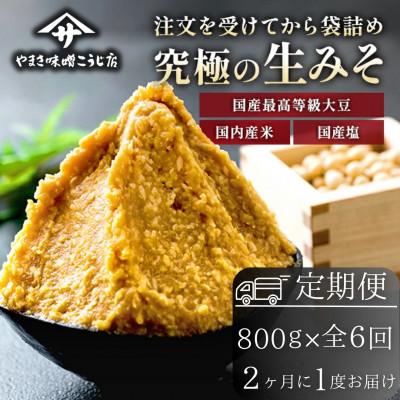 ふるさと納税 矢吹町 [2ヵ月毎定期便]蔵出し直送、究極の生みそ 800g全6回