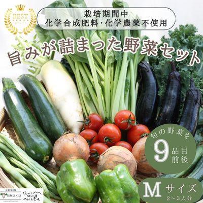 ふるさと納税 佐久穂町 [毎月定期便]信州北八ヶ岳からお届け〜のらくら農場の旨み野菜セット〜9種類前後(Mサイズ)全3回