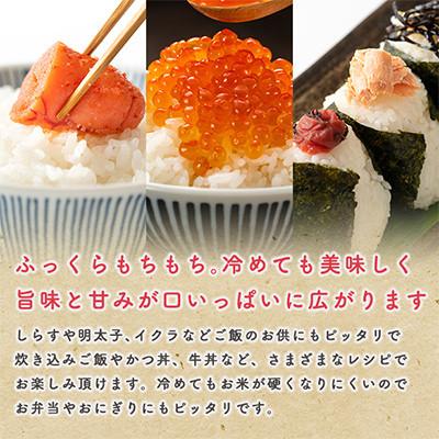 ふるさと納税 潟上市 【毎月定期便】秋田県産あきたこまち 白米 5kg全6回_2