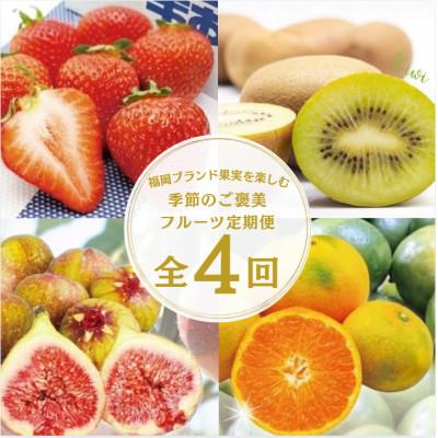 ふるさと納税 春日市 [発送月固定定期便]福岡ブランド果実を楽しむ。季節のご褒美フルーツ!(春日市)全4回