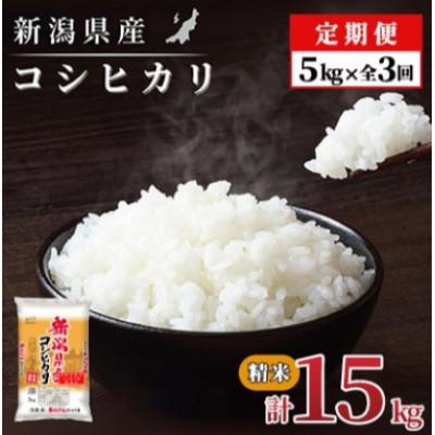 ふるさと納税 見附市 [毎月定期便][3か月定期便]新潟県産 コシヒカリ 5kg (精米)全3回