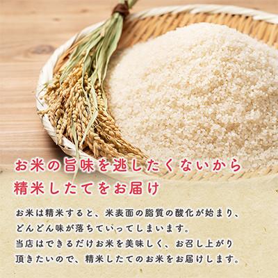 ふるさと納税 潟上市 【毎月定期便】秋田県産あきたこまち 無洗米 10kg(5kg×2袋)全3回_1