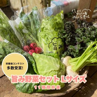 ふるさと納税 佐久穂町 [毎月定期便]信州北八ヶ岳からお届け〜のらくら農場の旨み野菜セット〜11種類前後(Lサイズ)全3回