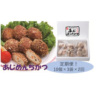 ふるさと納税 諫早市 [毎月定期便]あじめんちかつ30個入り全2回