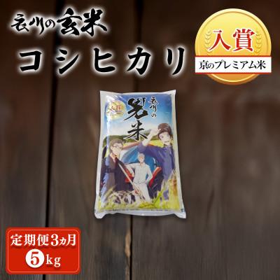 ふるさと納税 福知山市 [毎月定期便]衣川の男米コシヒカリ 玄米 5kg[京都府福知山市]全3回