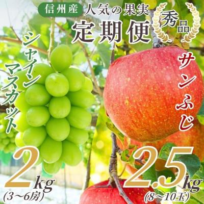 ふるさと納税 下條村 [発送月固定定期便]信州で人気のシャインマスカットとサンふじ全2回
