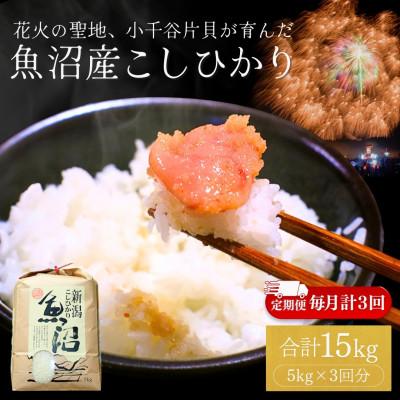 ふるさと納税 小千谷市 [毎月定期便]魚沼産コシヒカリ 精米 5kg 四尺玉花火の町小千谷市片貝町 米萬商店 新潟全3回