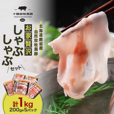 ふるさと納税 鹿追町 [毎月定期便]北海道鹿追産 自然放牧黒豚 お家贅沢しゃぶしゃぶセット1kg(200g×5P)全2回