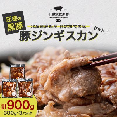 ふるさと納税 鹿追町 [毎月定期便]北海道鹿追産 自然放牧 圧巻の黒豚 豚ジンギスカンのセット 900g全2回