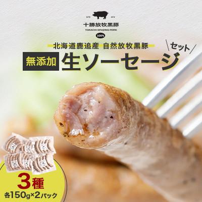 ふるさと納税 鹿追町 [毎月定期便]北海道鹿追産 自然放牧黒豚 無添加 生ソーセージセット(3種各150g×2P)全2回
