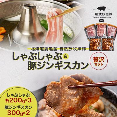 ふるさと納税 鹿追町 [毎月定期便]鹿追産 自然放牧黒豚 しゃぶしゃぶ各200g×3 &amp;豚ジンギスカン300g×2全2回