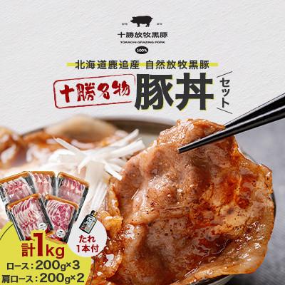 ふるさと納税 鹿追町 [毎月定期便]自然放牧黒豚 豚丼セット(ロース200g×3・肩ロース200g×2・たれ1本)全2回