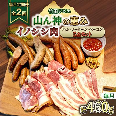 ふるさと納税 竹田市 [毎月定期便][竹田ジビエ]イノシシ肉 ハム・ベーコン・ソーセージ 5点セット(計460g)全2回