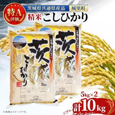 ふるさと納税 水戸市 [毎月定期便]茨城産コシヒカリ 精米 10kg(5kg×2) 全3回