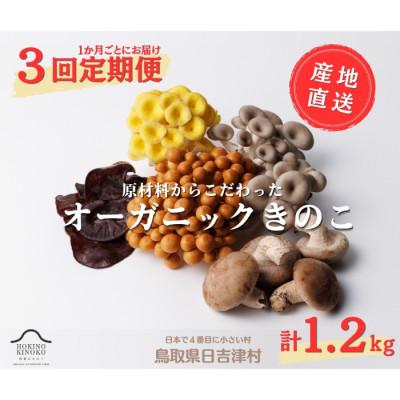 ふるさと納税 日吉津村 [毎月定期便]オーガニックきのこ 5種全3回