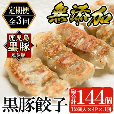 ふるさと納税 姶良市 [毎月定期便]鹿児島黒豚「短鼻豚(たんびとん)」餃子4パックセット(姶良市)全3回