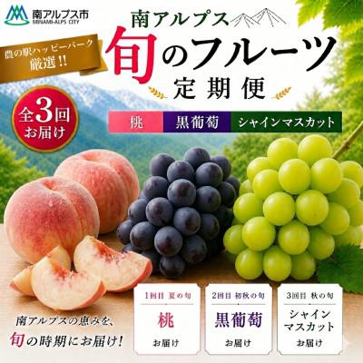 ふるさと納税 南アルプス市 [発送月固定定期便]農の駅厳選!南アルプス旬のフルーツ定期便(桃・黒葡萄・シャイン)全3回