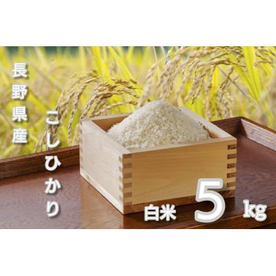 ふるさと納税 千曲市 [毎月定期便]長野県産 こしひかり 白米5キロ全2回