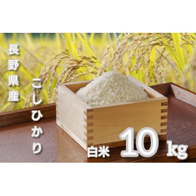 ふるさと納税 千曲市 [毎月定期便]長野県産 こしひかり 白米10キロ全2回
