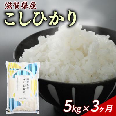 ふるさと納税 彦根市 [毎月定期便]こしひかり 5kg [滋賀でとれたお米、近江米!]全3回