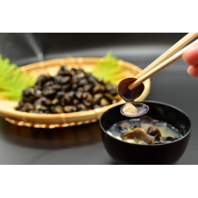 ふるさと納税 網走市 [発送月固定定期便][偶数月発送]人気の定期便 網走自慢の大粒しじみ3kgとはまなす味噌セット全6回