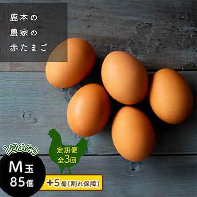 ふるさと納税 山鹿市 [毎月定期便]鹿本の赤たまご M玉 85個+割れ保障5個全3回