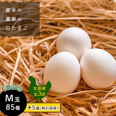 ふるさと納税 山鹿市 [毎月定期便]鹿本の白たまご M玉 85個+割れ保障5個全3回