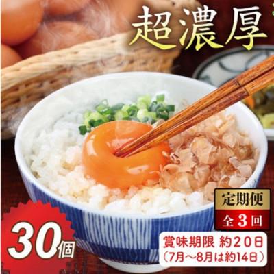 ふるさと納税 越前市 [毎月定期便]越前赤玉子30個(27個+卵割れ補償3個)全3回