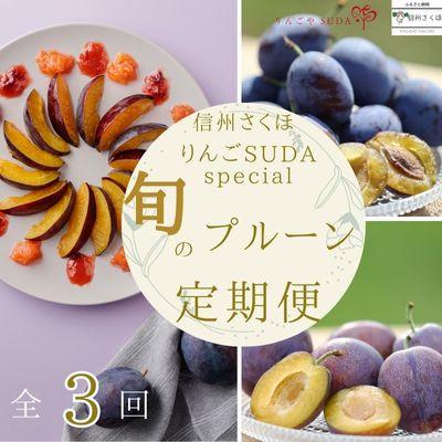 ふるさと納税 佐久穂町 [発送月固定定期便]旬の生プルーン[RS-T502]全3回