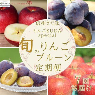 ふるさと納税 佐久穂町 [発送月固定定期便]旬のりんご・生プルーン・りんごジュースセット[RS-T503]全7回