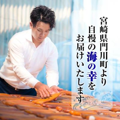 ふるさと納税 門川町 【毎月定期便】骨取りさば切身と鮭カットのセット(総量約2kg)全3回 |  | 03