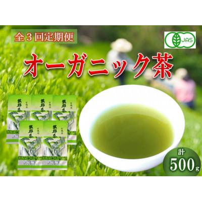 ふるさと納税 藤枝市 [3ヵ月毎定期便]オーガニック茶500g (100g5袋) 一番茶 岡部茶全3回