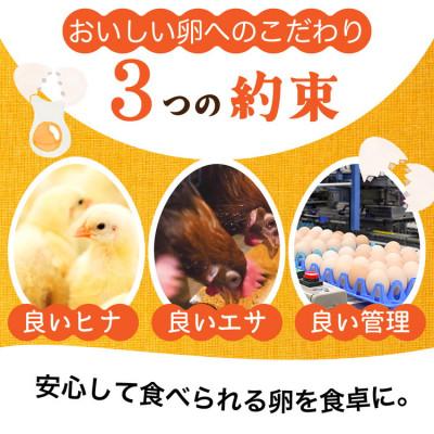 ふるさと納税 亀岡市 【毎月定期便】新鮮 卵 京都丹波『霧の卵』30個(25個+割れ保証5個)全3回 |  | 02