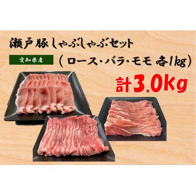 ふるさと納税 瀬戸市 [毎月定期便][セット品]瀬戸豚しゃぶしゃぶセット計3kg(ロース1kgバラ1kgモモ1kg)全3回