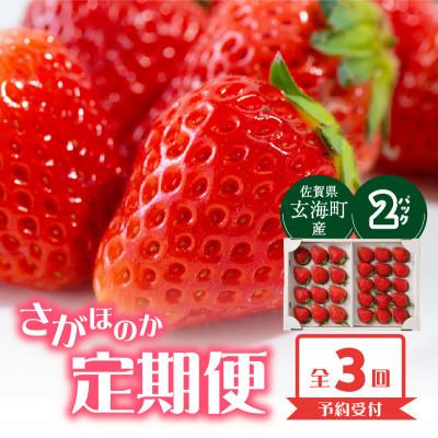 ふるさと納税 玄海町 [発送月固定定期便]杉山いちご農園 佐賀県玄海町産「さがほのか」1箱(2パック)[Z111]全3回