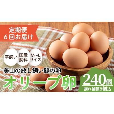 ふるさと納税 日置市 [毎月定期便]鹿児島県産美山オリーブ卵(40個)全6回