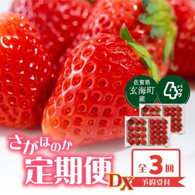 ふるさと納税 玄海町 [発送月固定定期便]杉山いちご農園 佐賀県玄海町産「さがほのかDX」2箱(4パック)Z112全3回