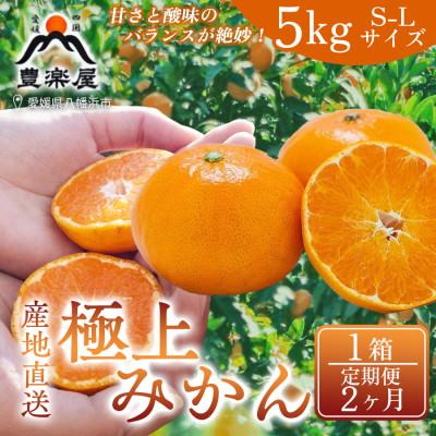 ふるさと納税 八幡浜市 [毎月定期便][2ヶ月]果汁たっぷり真穴産みかん 5kg サイズS~L 1箱[98-20]全2回
