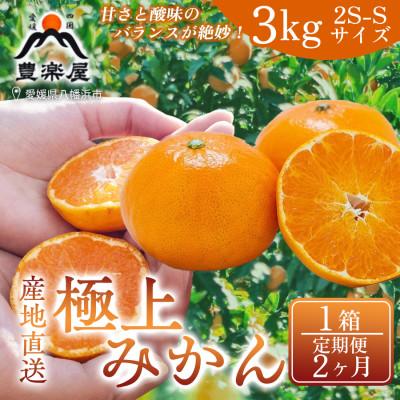 ふるさと納税 八幡浜市 [毎月定期便][2ヶ月]果汁たっぷり真穴産みかん 3kg 2S~S 1箱[98-23]全2回