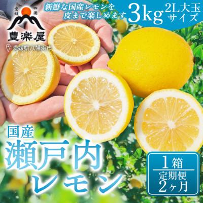 ふるさと納税 八幡浜市 [毎月定期便][2ヶ月]瀬戸内レモン3kg サイズ2L大玉 1箱[98-29]全2回